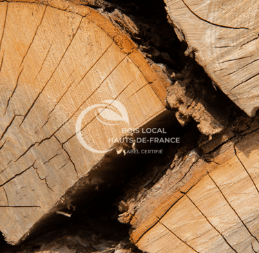 un gros plan d'un tronc d'arbre