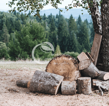 une pile de bûches en bois posée sur le sol