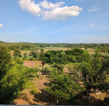 View from cottage balcony overlooking orchard, fields and distant hills under a blue sky