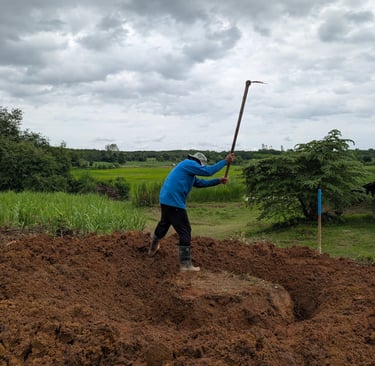 Preparing soil for a banana circle in the orchard at Loei Valley, rural Loei