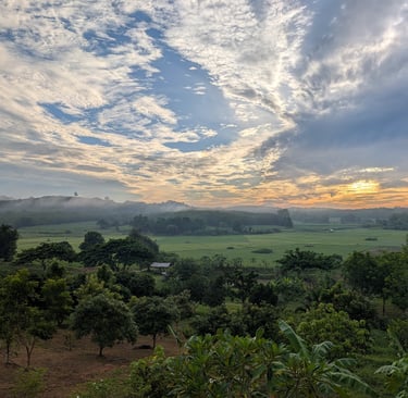 Misty sunrise over Loei Valley orchard and rice fields in rural Loei, Thailand