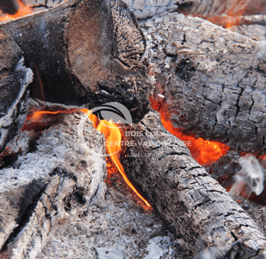 feu de bois