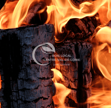 bûches en feu