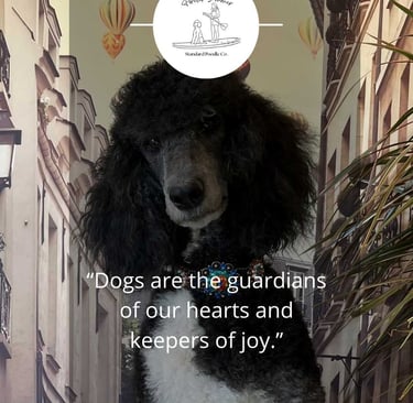 poodle with keepers text