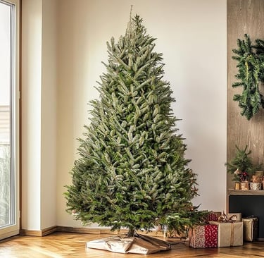 xmas tree, fresh cu .ta christmas tree in a room with a christmas tree