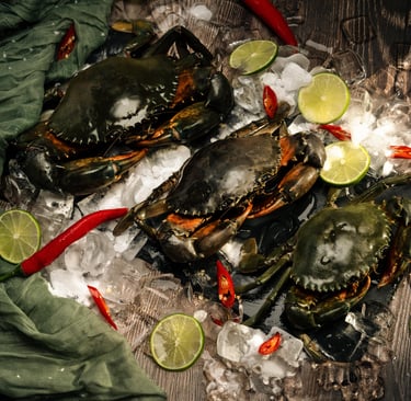 seamorny - vietnamese crab supplier