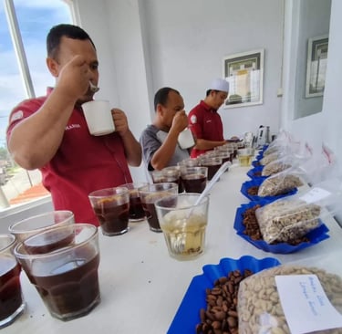 Coffee taster enjoying a brewed cup of Indonesian Arabica beans supplied by Dwipa Coffee