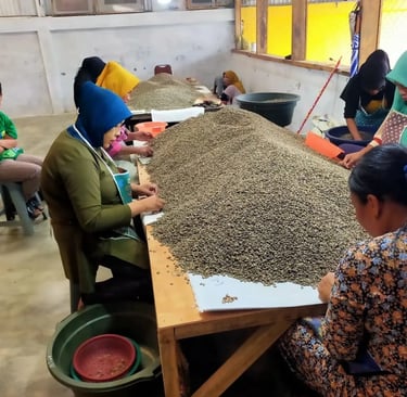 Quality control: defects removed to meet export grade