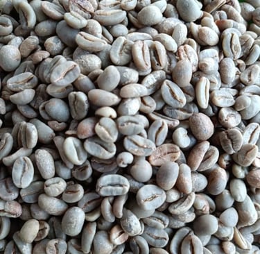 Arabica Indonesia Gayo Specialty honey process – notes of berries, dates, caramel, chocolate.