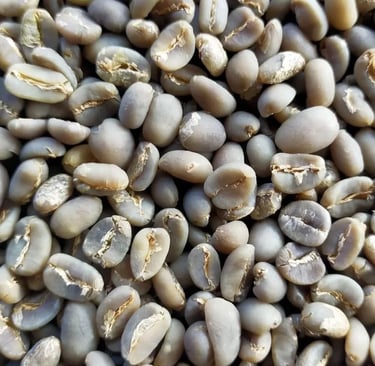 Arabica Indonesia Gayo Specialty wet-hulled – floral, lemon, palm sugar with juicy and herbal tones 
