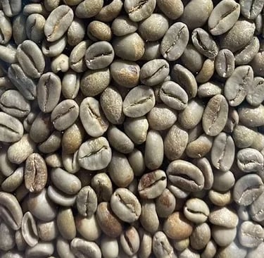 Arabica Indonesia Gayo Specialty natural – lychee, banana, floral, caramel, light acidity; etc