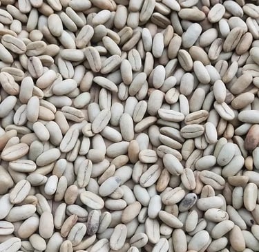 “Arabica Indonesia Gayo Longberry – elongated bean shape, flavors of chocolate, raisin, peanut and t