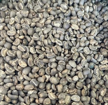 Arabica Indonesia Mandailing Specialty – semi-washed, flavors of nutty, dark chocolate, clove, with 