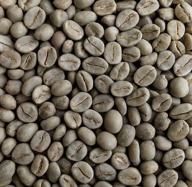 Robusta Indonesia G series (G1-G5) – wet washed beans with strong body, dark chocolate, nutty and ea