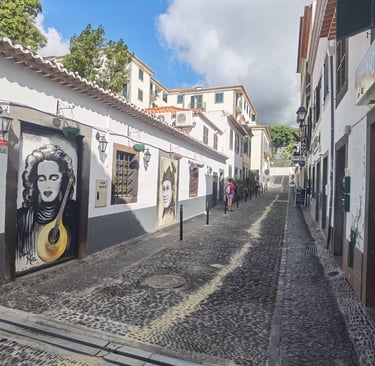 Cobblestone street in Funchal, Madeira, featuring white buildings with fado singer murals.