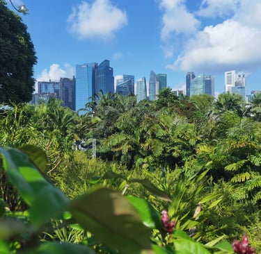 Singapour vue des jardins