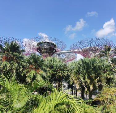 Singapour le jardin