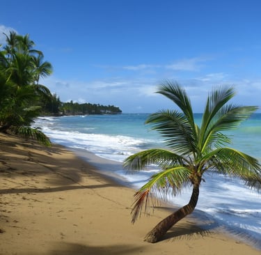 destination sans danger plage sauvage