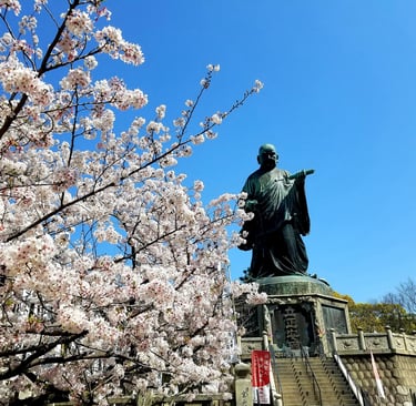 Buda en el templo, Fukuoka, durante el sakura.