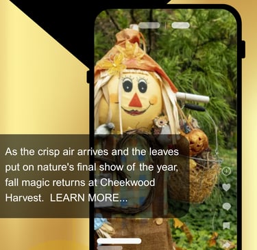 Nashville Event, Cheekwood Harvest, October 2025