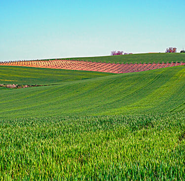 Land Market Demonstrates Price Resilience