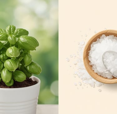 Epsomi sool taimedele