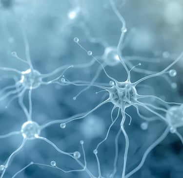 näha on närvirakud