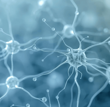 Изображение нейронов, соединённых между собой тонкими отростками. Иллюстрация показывает сеть нервы