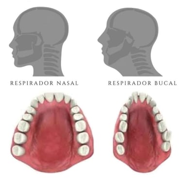 ortodoncia respiracion