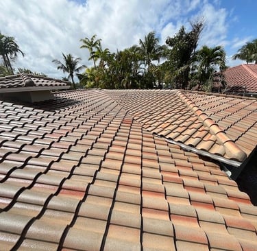roof cleaning fort lauderdale fl