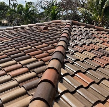 roof soft wash fort lauderdale fl