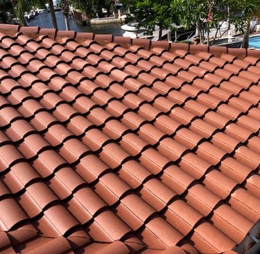 roof soft washing services fort lauderdale fl