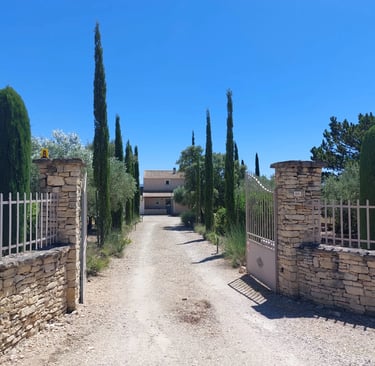 Entrée de la villa, allée bordée de Cyprès