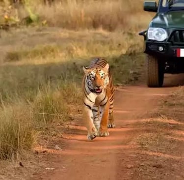 Hyderabad to Srisailam cabs 