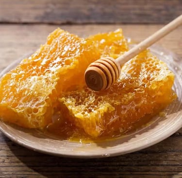 a plate of honeycomb honeycombed honeycombs