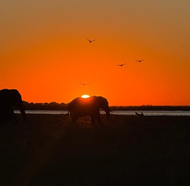 Tramonto Delta dell'Okavango in Botswana.