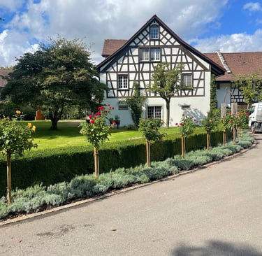 Gartenbau Bülach, Gartenbau Bülach, Landschaftsgärtner Bülach, Heckenschnitt, Gepflegte Rasenfläch