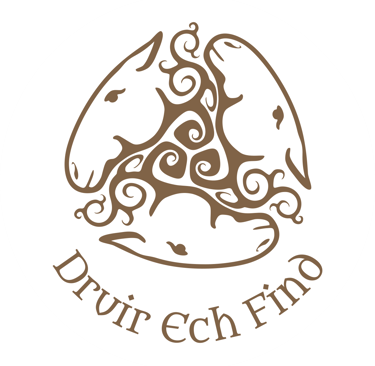 Selo Sacerdotal "Druir Ech Find"