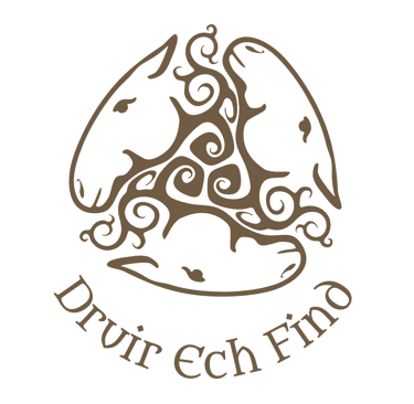 Selo Druir Ech Find