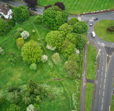 Green space in a town