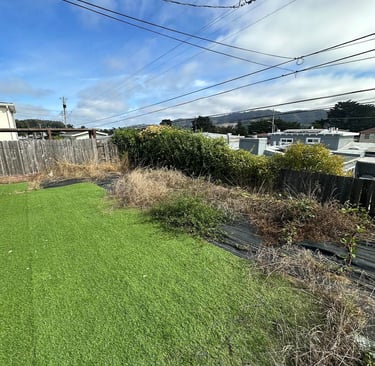 Affordable garden cleanup in Lafayette 94549, San Jose & Berkeley.