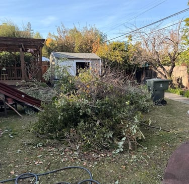 Affordable garden debris pickup in San Francisco 94122 & Mill Valley.