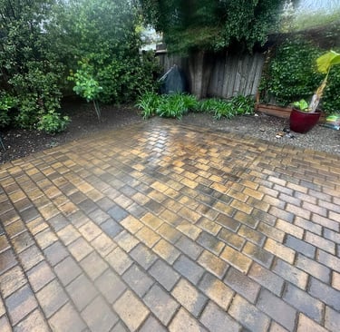 SFC Junk Removal: Backyard trampoline cleanup in SF 94112 & Fremont.