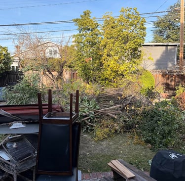 SFC Junk Removal: Grass clipping & hedge trimming hauling in the Bay Area.