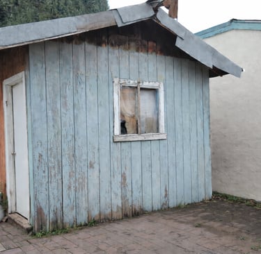 Old shed hauling near me in SF 94127, Walnut Creek & Novato.