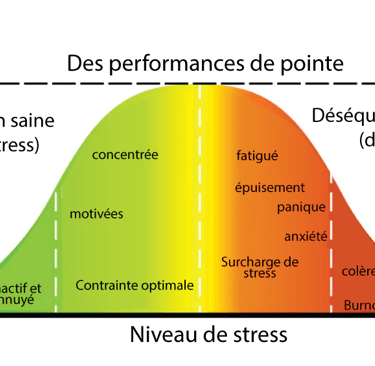 courbe yerkes dodson stress performance dans le sport 