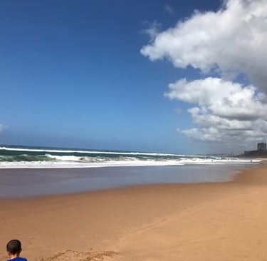 beach and ocean with sky in durban, south africa