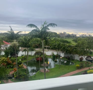 a view of a pond and a cityscape in durban, south africa