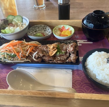 Halal Japanese Teriyaki set in Malaysia 
