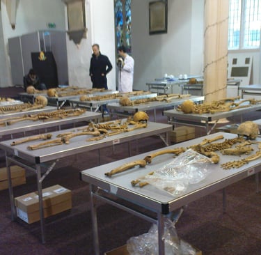 Skeletons from Wolsey Street, Ipswich